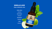 Beard Oil 3-Pack - Gift Ready
