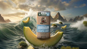 Coastal Mist Invisible Glide Deodorant - Bright Scent