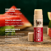 Lip Balm 4-Pack - Ready Routine
