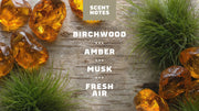 Birchwood Breeze Invisible Glide Deodorant - Clean Mood