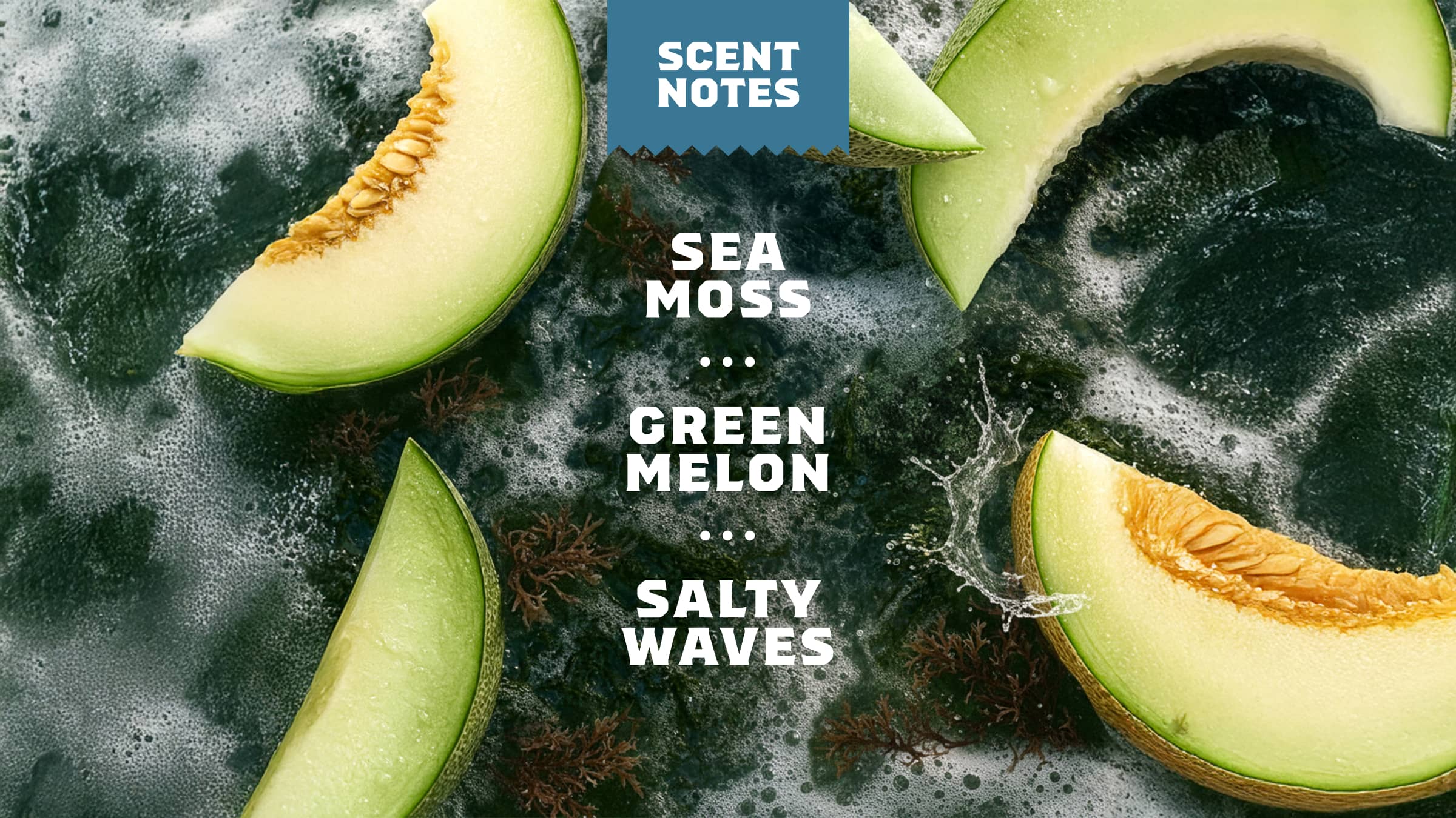14 oz Coastal Mist Body Wash - Daily Scent