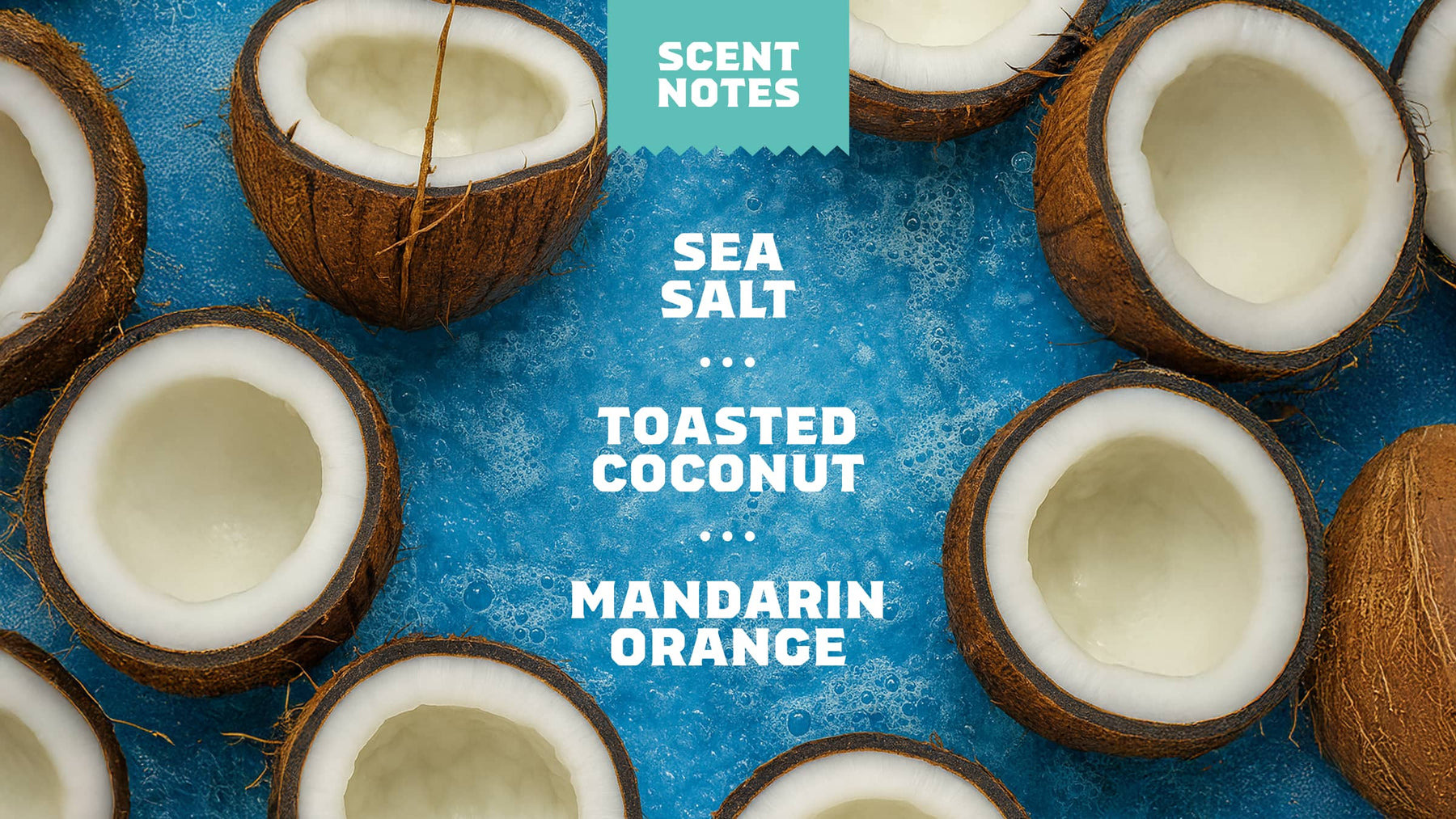 Coconut Castaway Invisible Glide Deodorant - Daily Fresh