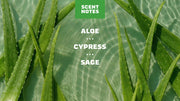 Cool Fresh Aloe Lotion - Soft Balance
