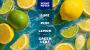 Deep Sea Goats Milk - Cozy Glow