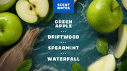14 oz Fresh Falls Body Wash - Clean Mood