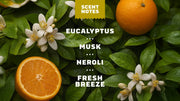 14 oz Mountain Meadow Body Wash - Easy Spritz