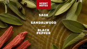 Sandalwood Summit Deodorant - Fresh Routine