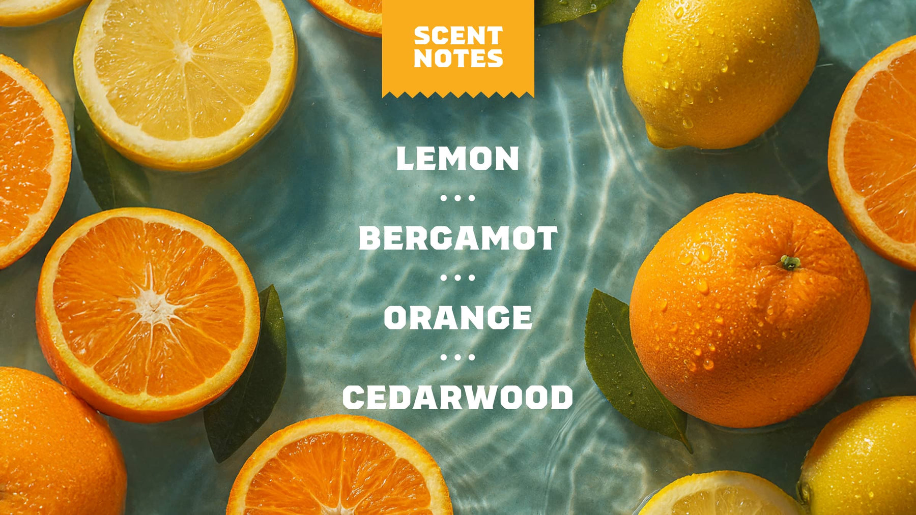 Summer Citrus Conditioner - Modern Blend