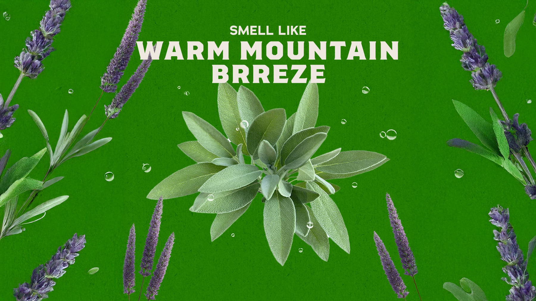 Deodorant Christian - Fresh Notes