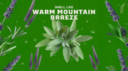 Alpine Sage - Gentle Mist