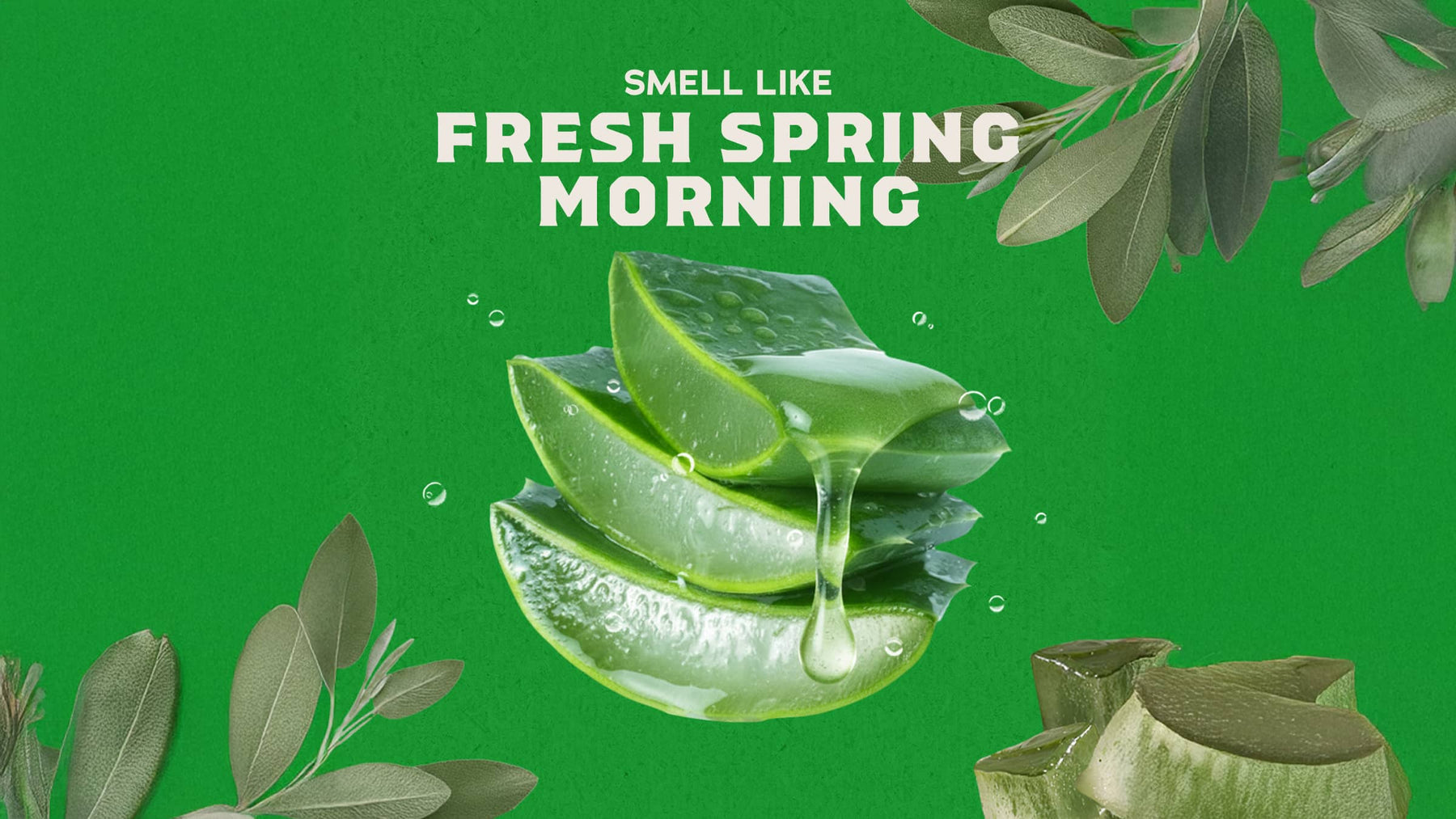 Cool Fresh Aloe Exfoliating Face Wash - Daily Set