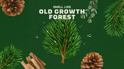 Soothing Post Shave Pine Tar - Soft Glow
